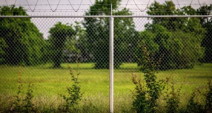 Texas Fence
