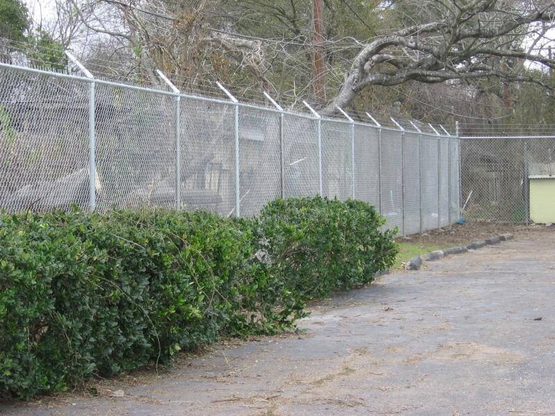 Texas Fence