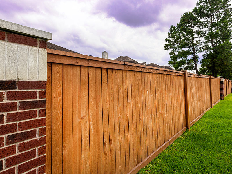 Texas Fence